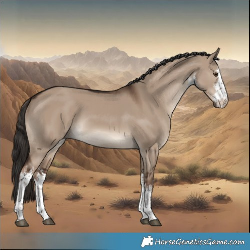 Horse Color:White Spotted Liver Red Dun Rabicano 