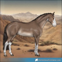 Horse Color:White Spotted Liver Red Dun Rabicano 