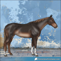 Horse Color:Liver Chestnut Tobiano 