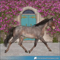 Horse Color:Liver Red Roan 