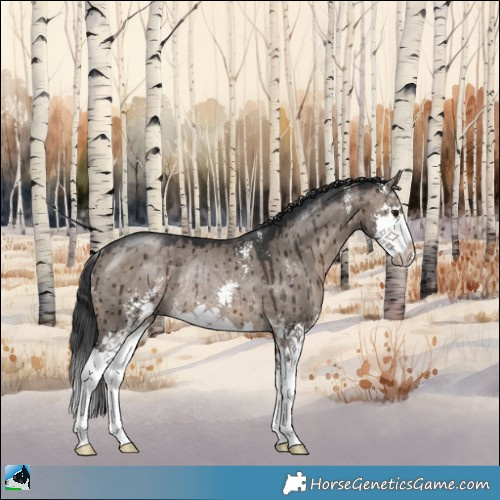 Horse Color:Brown Dun Mushroom Sabino Splash Rabicano Brindle