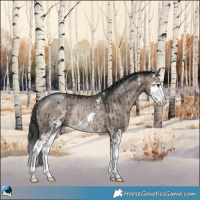 Horse Color:Brown Dun Mushroom Sabino Splash Rabicano Brindle 