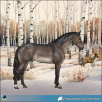 Horse Color:Brown Dun 