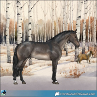 Horse Color:Brown Dun