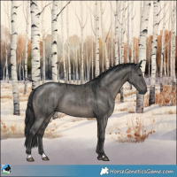 Horse Color:Grullo Mushroom Rabicano Brindle 