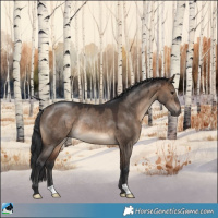 Horse Color:Brown Dun Rabicano