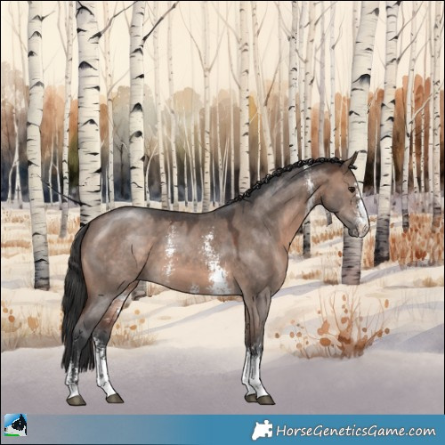 Horse Color:Brown Dun Mushroom Sabino 