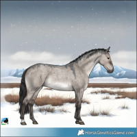 Horse Color:Brown Roan Dun Mushroom Rabicano 