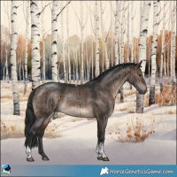 Horse Color:Brown Dun Mushroom Tobiano Rabicano Brindle 
