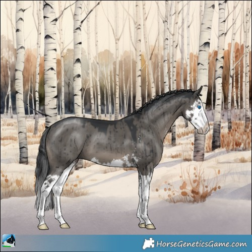 Horse Color:Grullo Mushroom Sabino Splash Brindle 