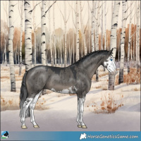 Horse Color:Grullo Mushroom Sabino Splash Brindle 