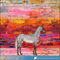 Horse Color:Silver Brown Roan 