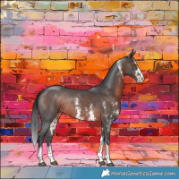 Horse Color:Brown Sabino Rabicano