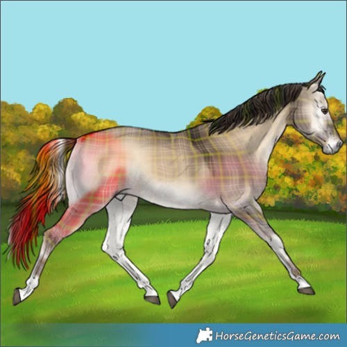 Horse Color:Plaid  Liver Red Dun Onyx Tobiano 