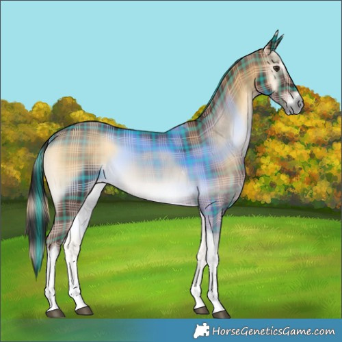 Horse Color:Plaid  Liver Red Onyx Tobiano 