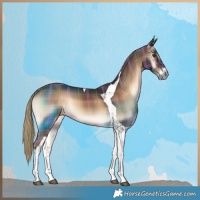 Horse Color:Plaid  Liver Red Onyx Tobiano 