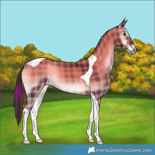 Horse Color:Plaid  Liver Red Onyx Tobiano 