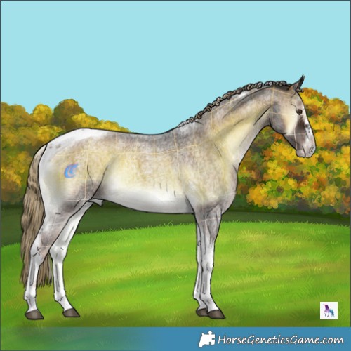 Horse Color:Plaid  Chocolate Palomino Roan Onyx Tobiano Frame 