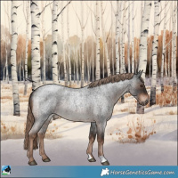 Horse Color:Liver Red Roan Rabicano 