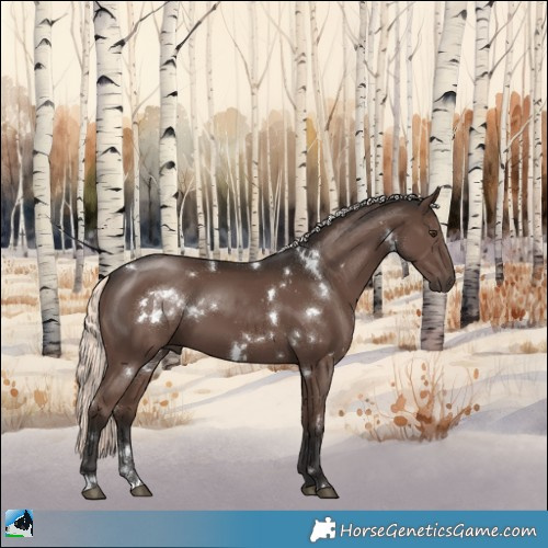 Horse Color:White Spotted Liver Chestnut Mushroom 