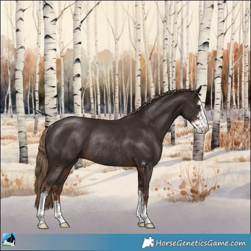 Horse Color:Liver Chestnut Sabino Rabicano 
