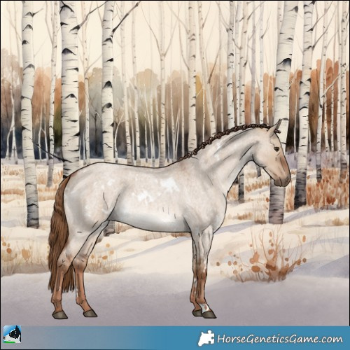 Horse Color:White Spotted Red Dun Roan Rabicano 