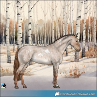 Horse Color:White Spotted Red Dun Roan Rabicano 