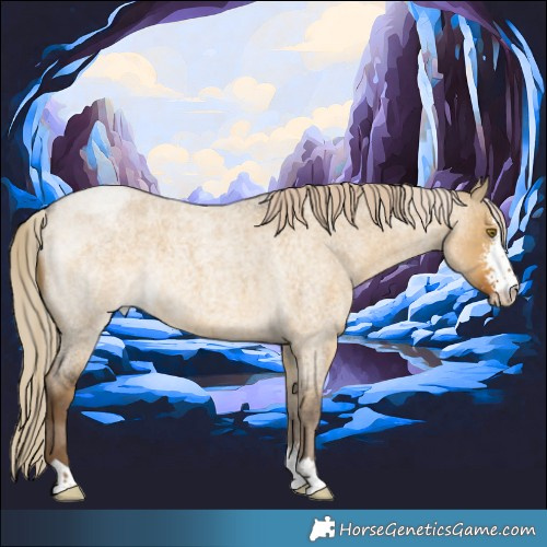 Horse Color:Chocolate Palomino Roan Dun Sabino 