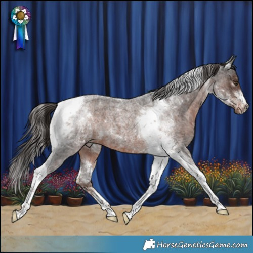 Horse Color:Liver Red Roan Tobiano 