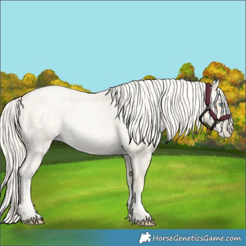 Horse Color:Palomino Roan Pearl  and Gold Cream Champagne Roan Pearl 