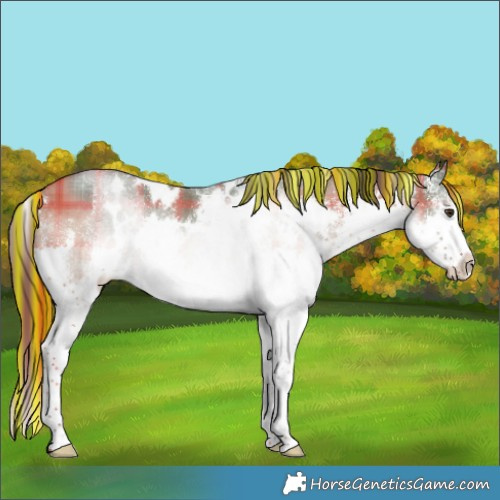 Horse Color:Painted Plaid  White Spotted Liver Red Dun Splash 