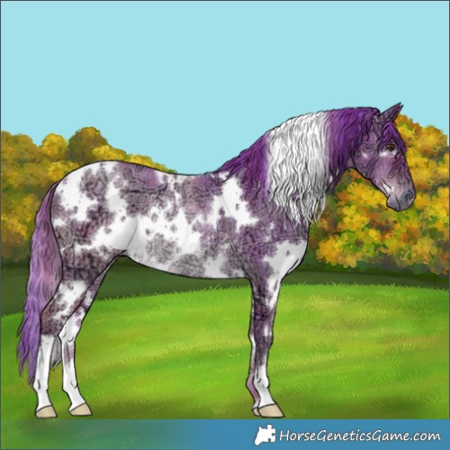 Horse Color:Watercolor Plaid  White Spotted Liver Red Dun Ice Rabicano 