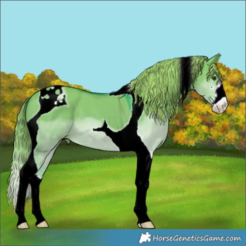 Horse Color:Watercolor White Spotted Liver Red Dun Tobiano 