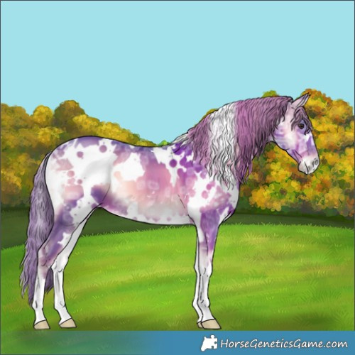 Horse Color:Watercolor White Spotted Liver Red Onyx Ice 