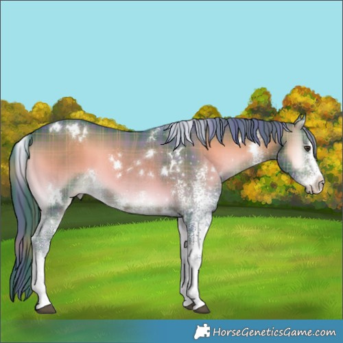 Horse Color:Watercolor Plaid  White Spotted Liver Red Onyx 