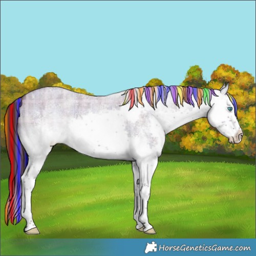 Horse Color:Painted Plaid  White Spotted Liver Red Dun Roan Splash 