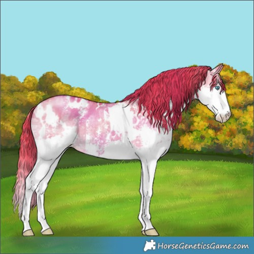 Horse Color:Watercolor White Spotted Liver Red Dun Ice Sabino Splash Rabicano Brindle 