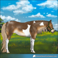 Horse Color:Chocolate Palomino Mushroom Tobiano 