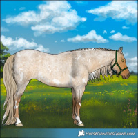 Horse Color:White Spotted Chocolate Palomino Roan Dun Mushroom