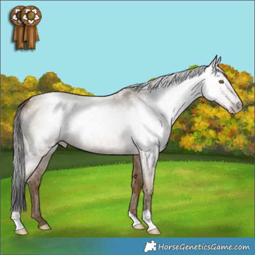 Horse Color:Gray Classic Cream Champagne Roan 