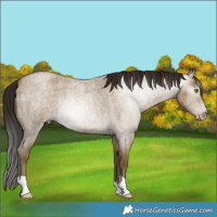 Horse Color:Gray Classic Cream Champagne Roan 