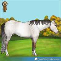 Horse Color:Gray Classic Cream Champagne Roan
