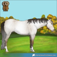 Horse Color:Gray Classic Cream Champagne Roan
