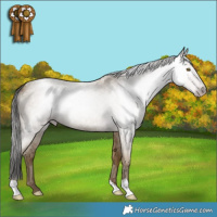 Horse Color:Gray Classic Cream Champagne Roan 