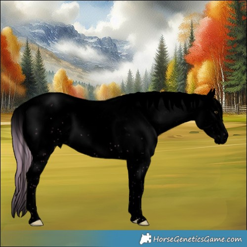 Horse Color:Void Plaid  White Spotted Chocolate Palomino Dun Sabino 