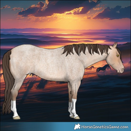 Horse Color:Amber Champagne Roan 