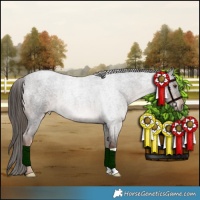 Horse Color:Liver Red Roan