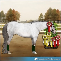 Horse Color:Liver Red Roan 