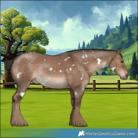 Horse Color:White Spotted Liver Red Dun 