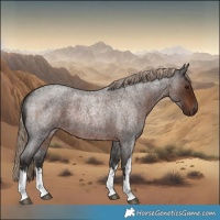 Horse Color:White Spotted Liver Red Roan 